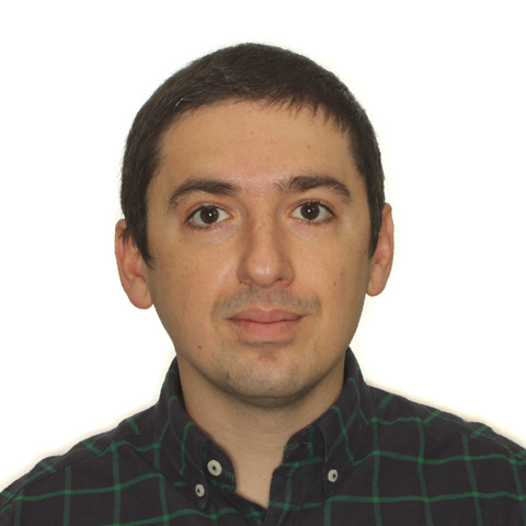 Samson Arveladze image